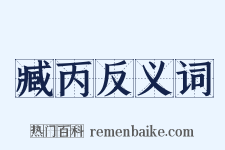 臧丙反义词是什么意思的图片